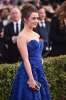 Doctor Who 22nd Annual Screen Actors Guild Awards 